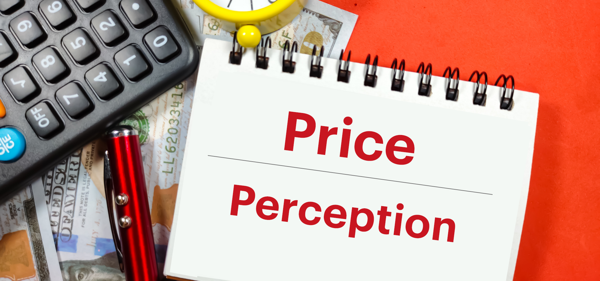 understanding-Influencing-price-perception